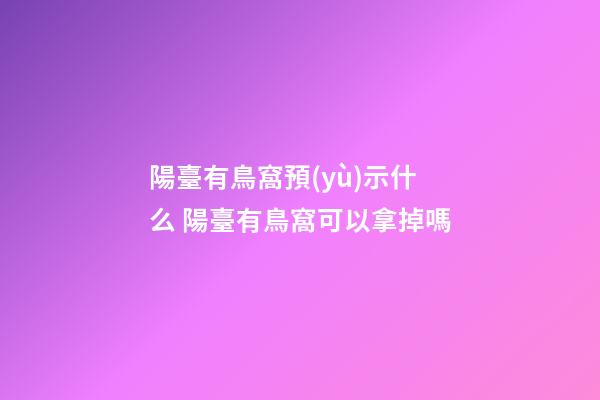 陽臺有鳥窩預(yù)示什么 陽臺有鳥窩可以拿掉嗎